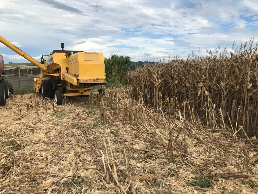 Farm for sale of 287 acres in São Miguel Arcanjo, SP, Brazil