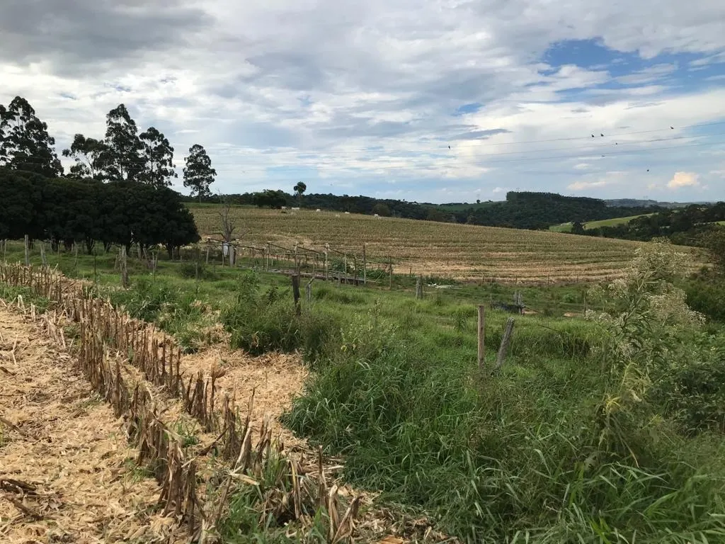 Farm for sale of 287 acres in São Miguel Arcanjo, SP, Brazil
