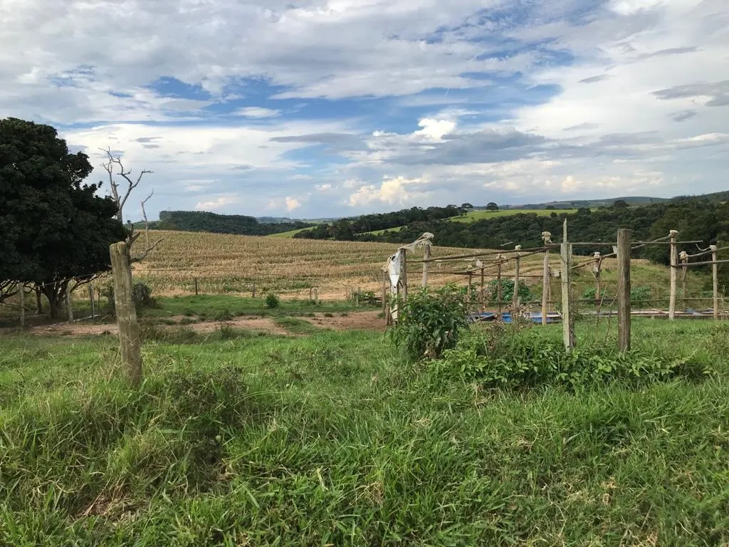 Farm for sale of 287 acres in São Miguel Arcanjo, SP, Brazil