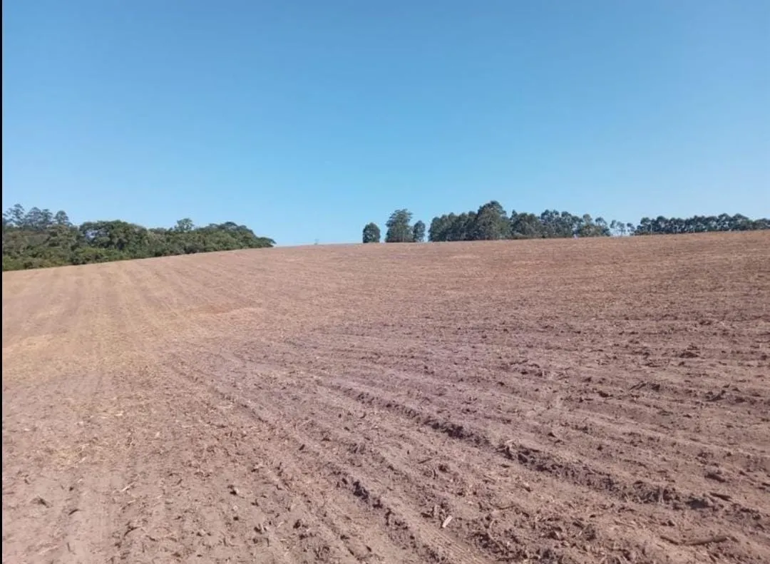 Farm for sale of 287 acres in São Miguel Arcanjo, SP, Brazil
