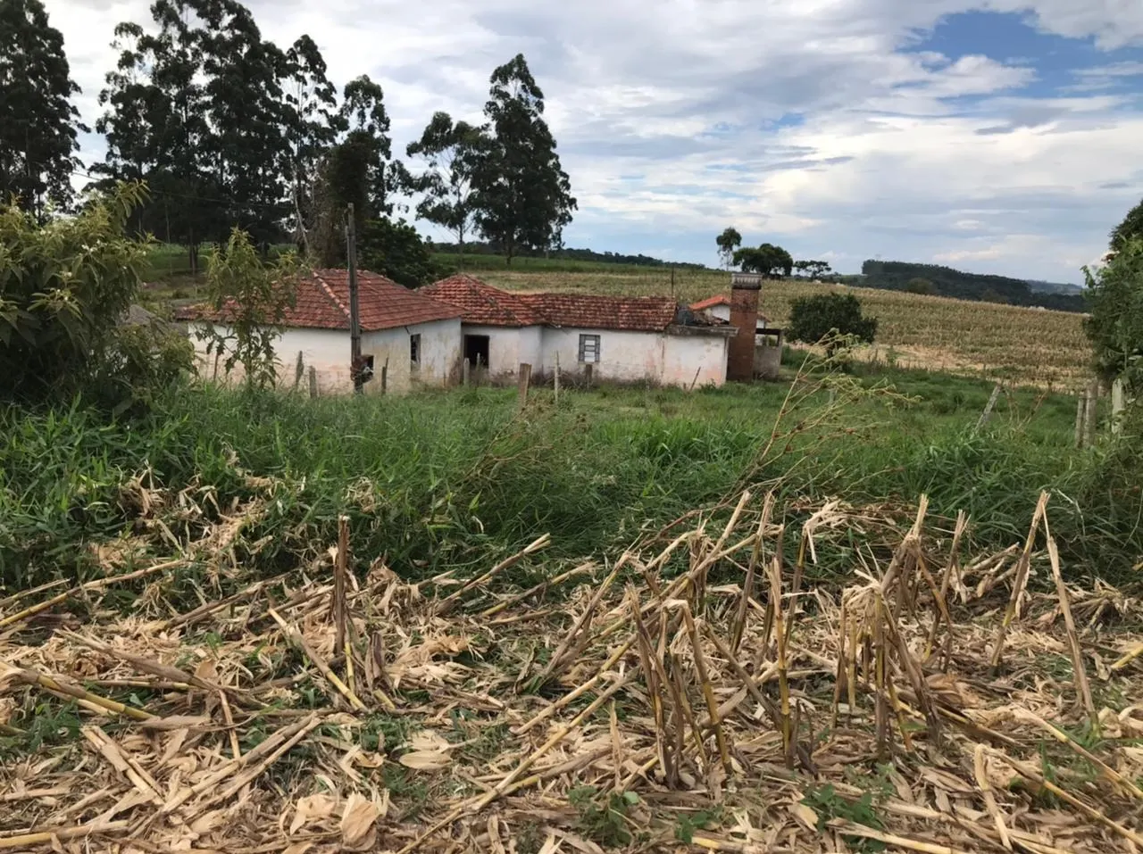 Farm for sale of 287 acres in São Miguel Arcanjo, SP, Brazil
