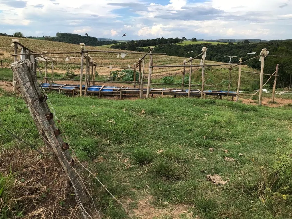 Farm for sale of 287 acres in São Miguel Arcanjo, SP, Brazil