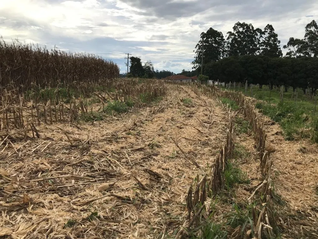 Farm for sale of 287 acres in São Miguel Arcanjo, SP, Brazil
