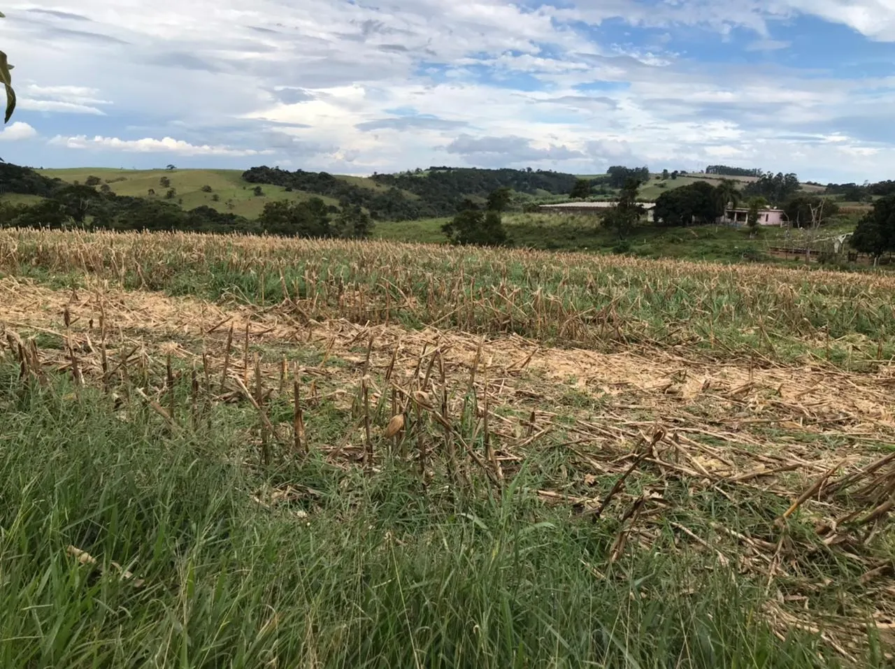 Farm for sale of 287 acres in São Miguel Arcanjo, SP, Brazil
