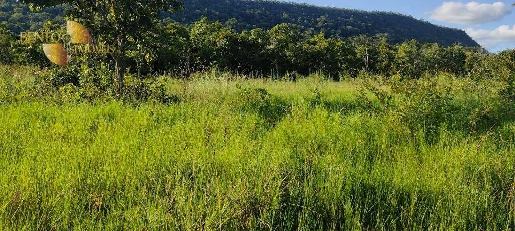 Farm for sale of 684 acres in Diamantino, MT, Brazil