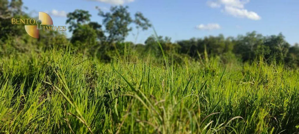 Farm for sale of 684 acres in Diamantino, MT, Brazil