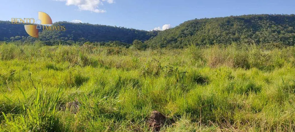 Fazenda à venda de 277 ha em Diamantino, MT, Brasil