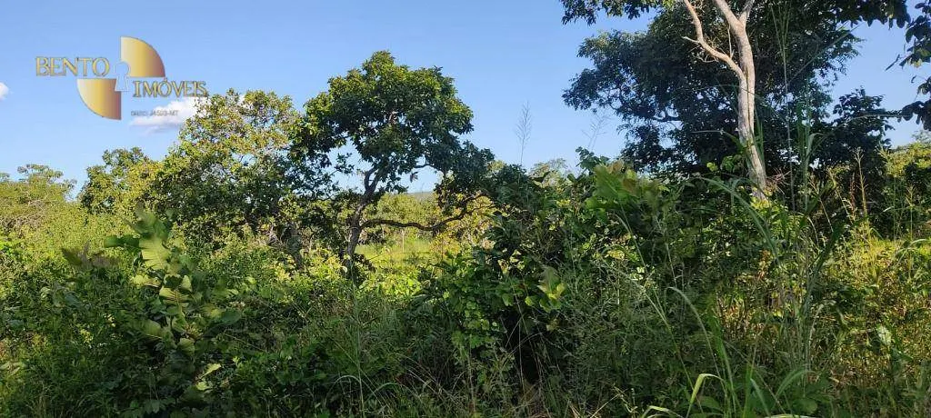 Farm for sale of 684 acres in Diamantino, MT, Brazil