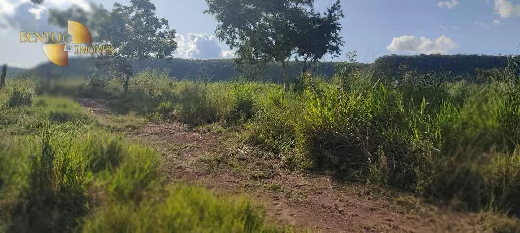 Farm for sale of 684 acres in Diamantino, MT, Brazil