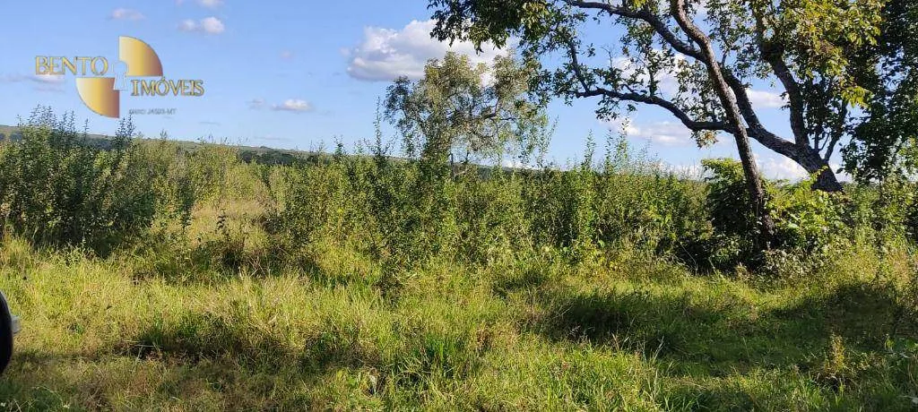Farm for sale of 684 acres in Diamantino, MT, Brazil