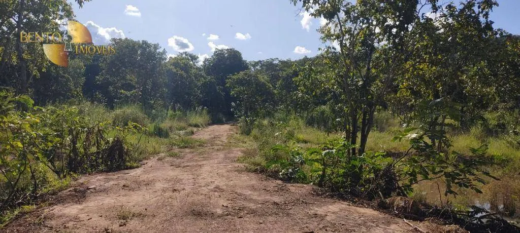 Farm for sale of 684 acres in Diamantino, MT, Brazil