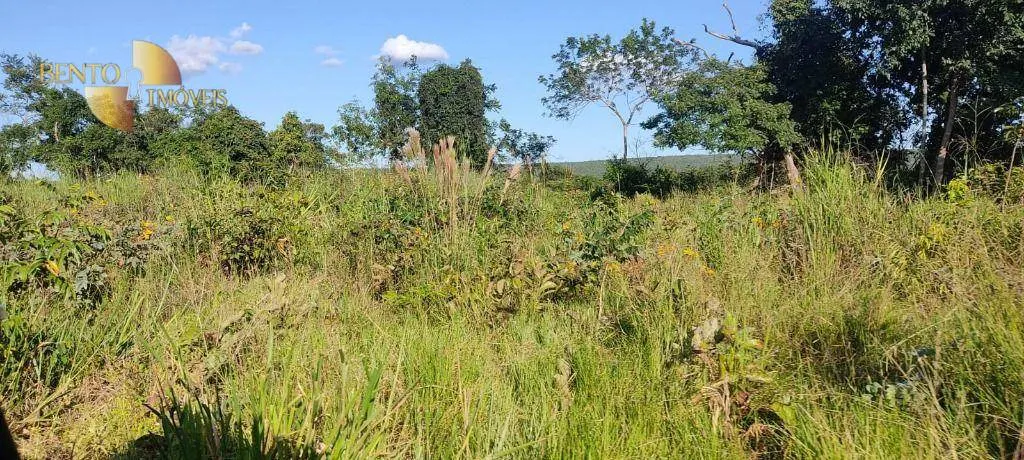 Farm for sale of 684 acres in Diamantino, MT, Brazil