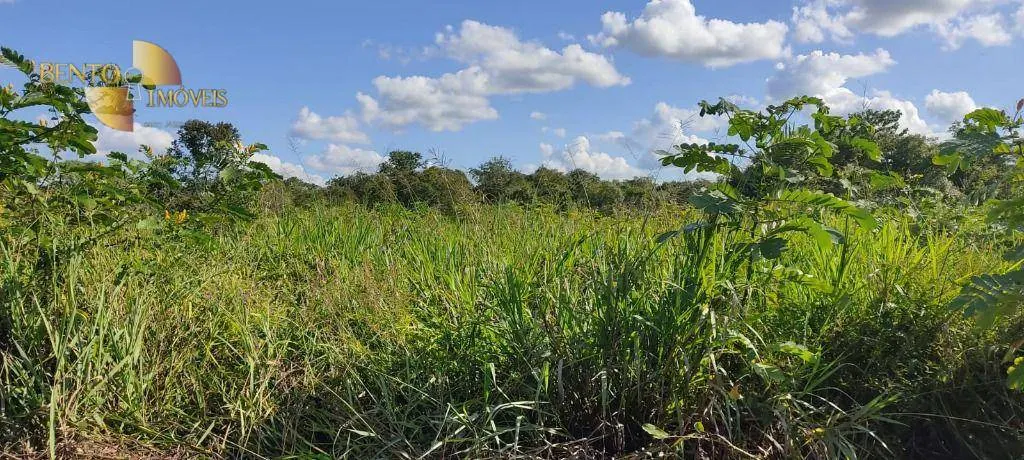 Farm for sale of 684 acres in Diamantino, MT, Brazil