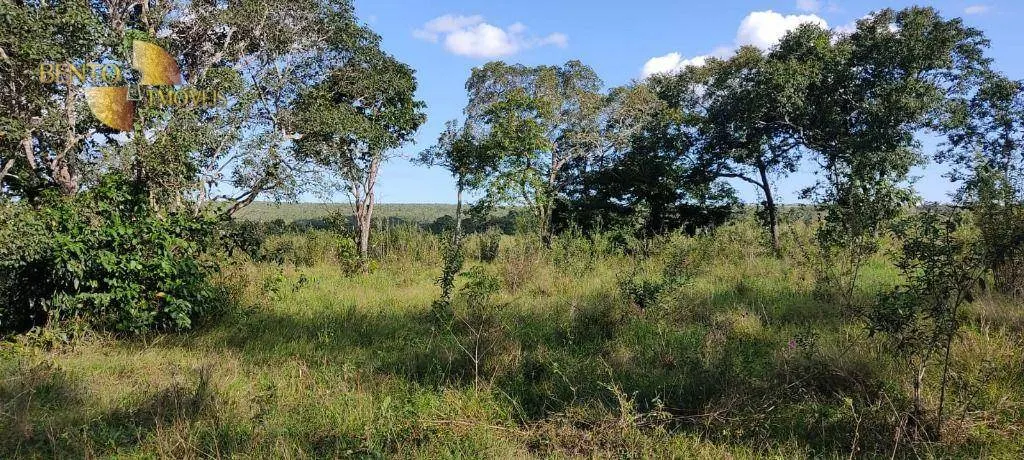 Farm for sale of 684 acres in Diamantino, MT, Brazil