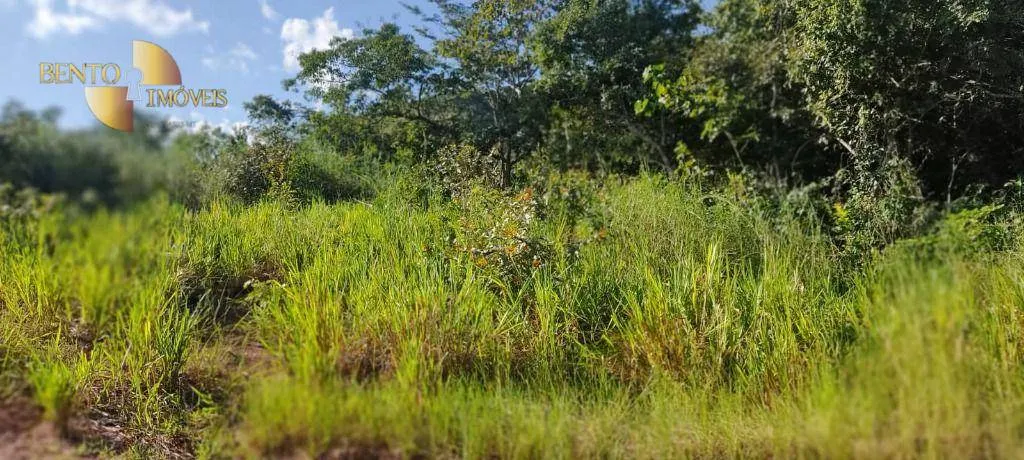 Farm for sale of 684 acres in Diamantino, MT, Brazil