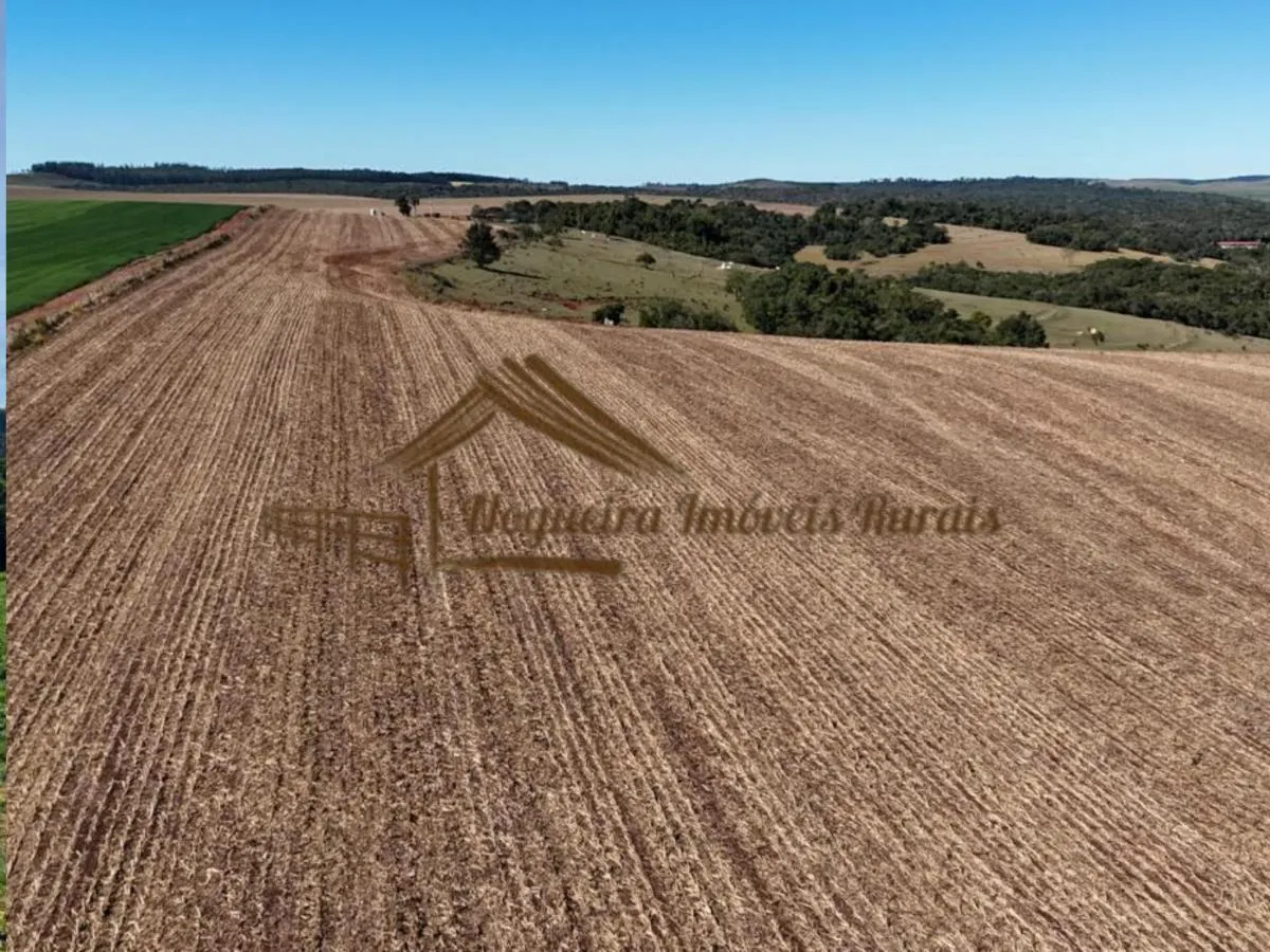 Fazenda à venda de 128 ha em Avaré, SP, Brasil