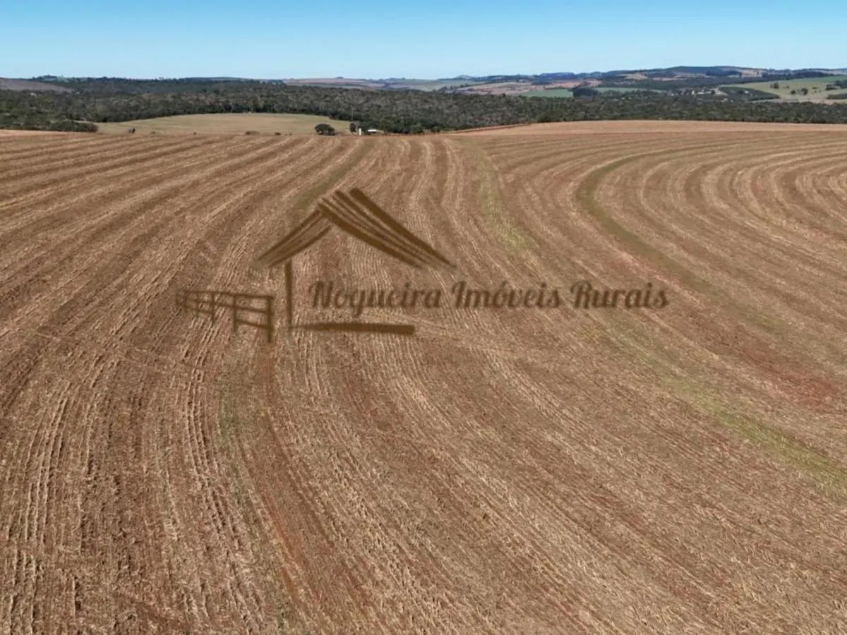 Fazenda à venda de 128 ha em Avaré, SP, Brasil
