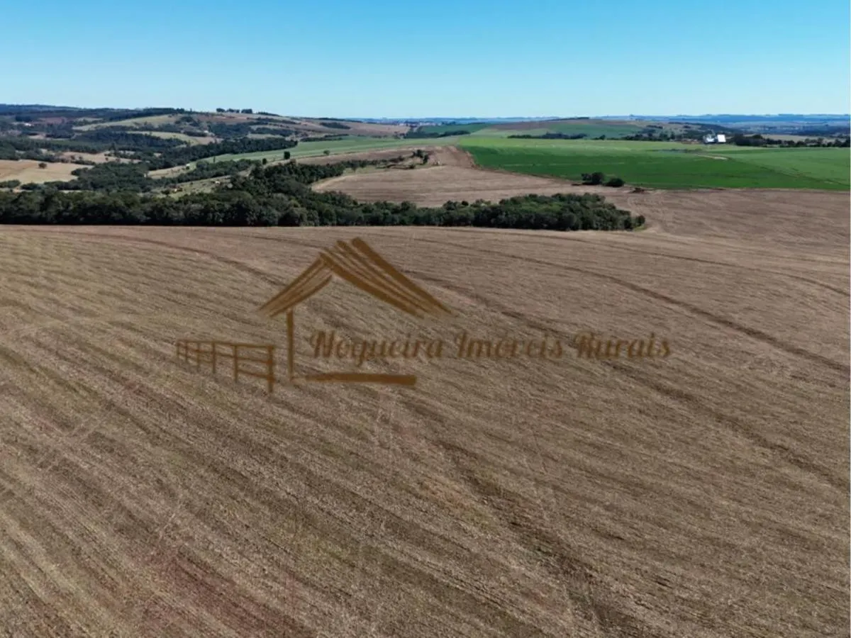 Fazenda à venda de 128 ha em Avaré, SP, Brasil
