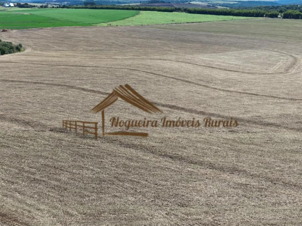 Fazenda à venda de 128 ha em Avaré, SP, Brasil