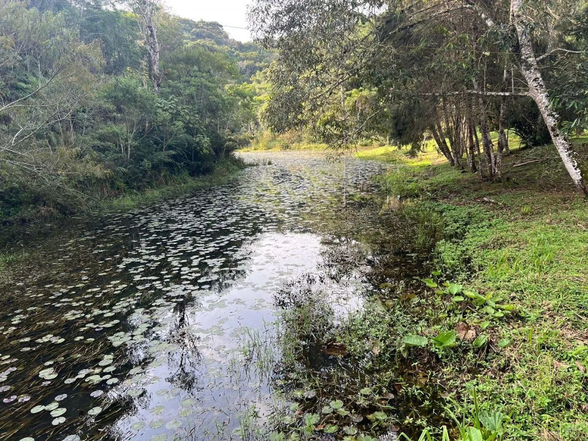 Small farm for sale of 30 acres in Juquitiba, SP, Brazil