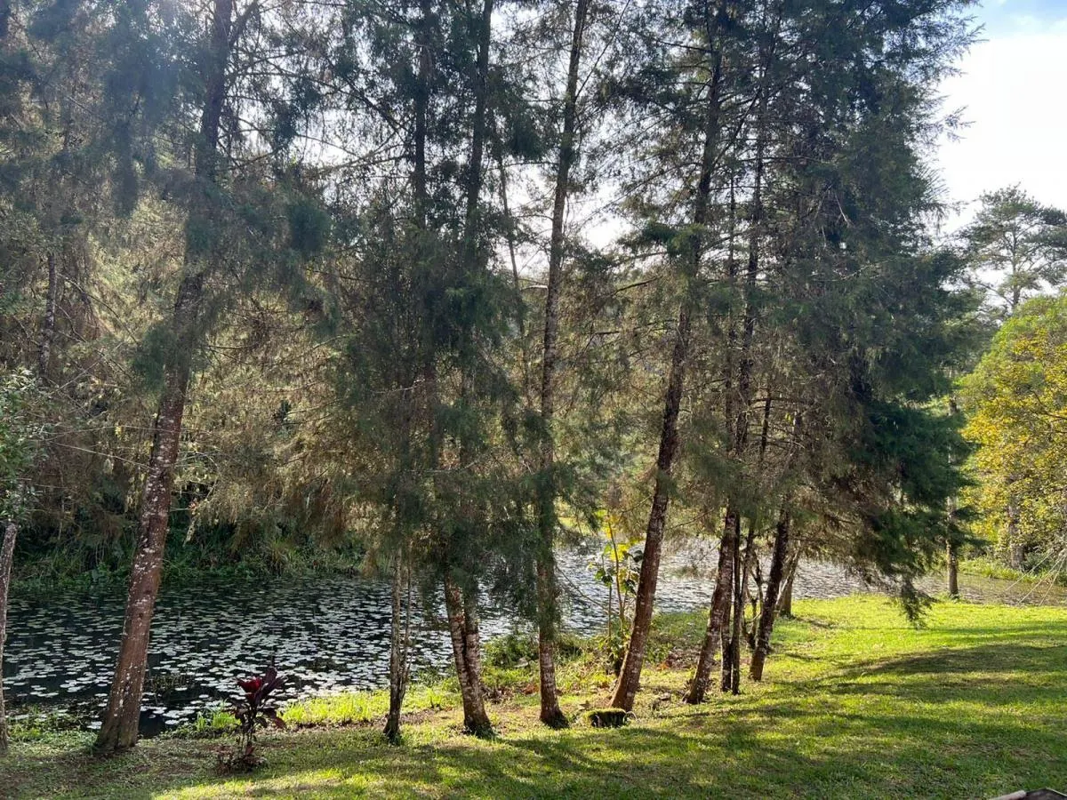 Small farm for sale of 30 acres in Juquitiba, SP, Brazil