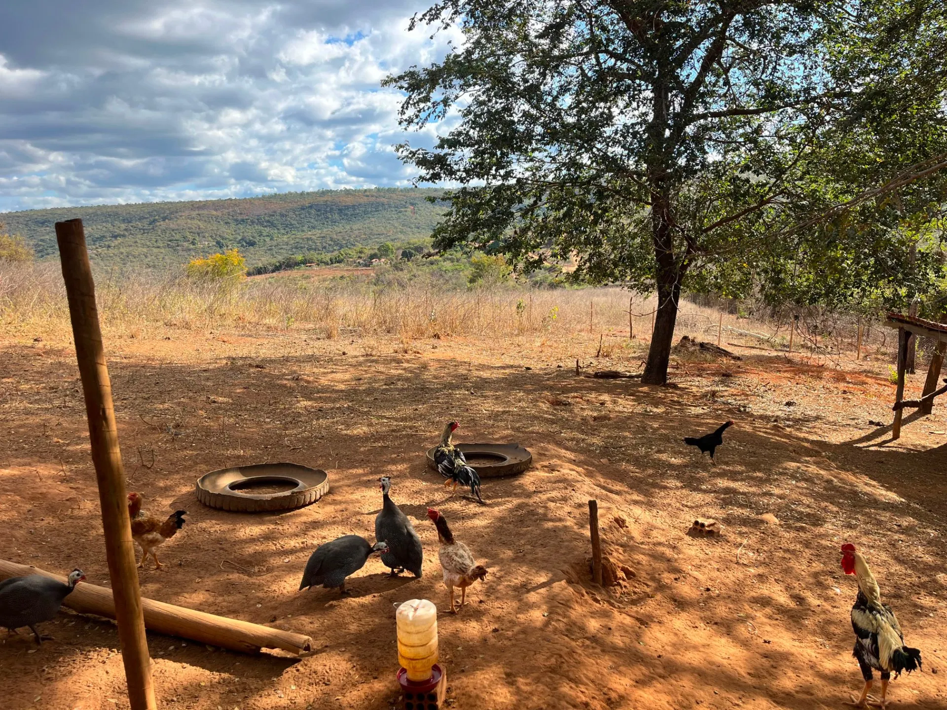 Sítio à venda de 25 ha em Cristália, MG, Brasil