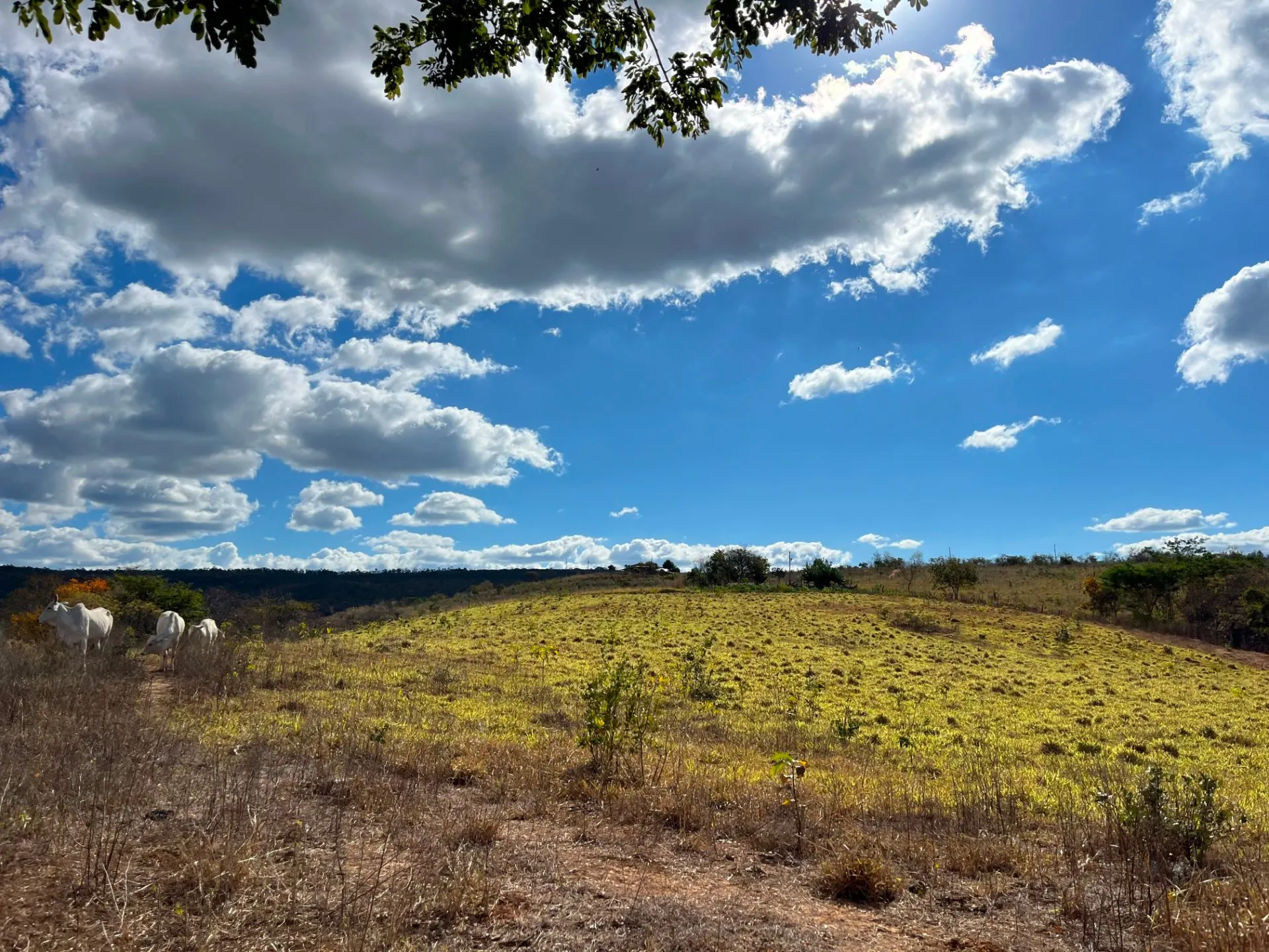 Sítio à venda de 25 ha em Cristália, MG, Brasil