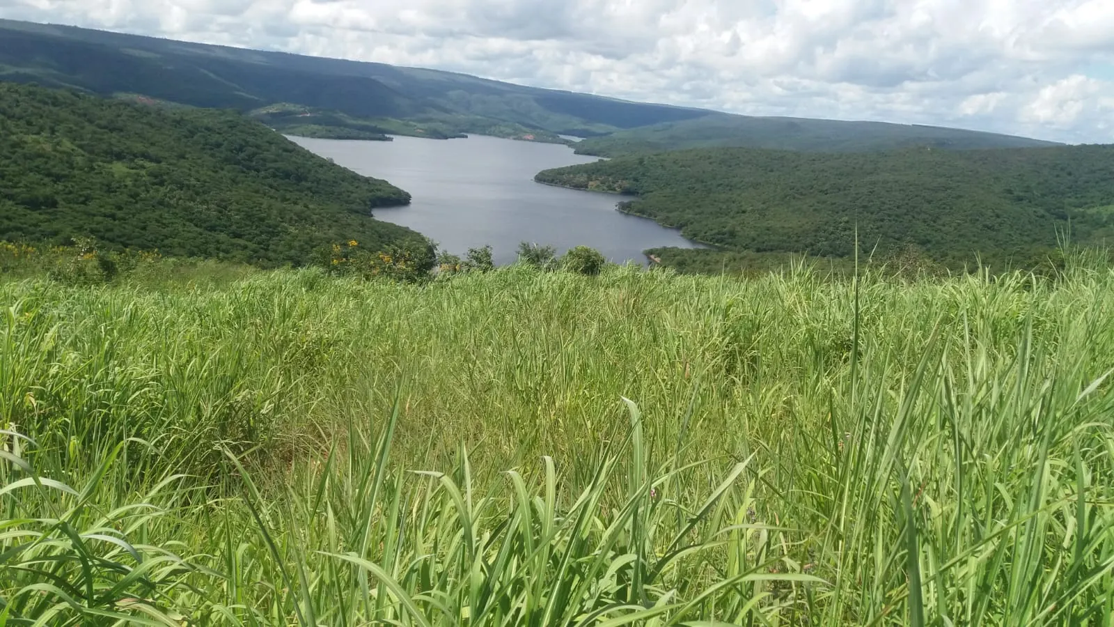Sítio à venda de 25 ha em Cristália, MG, Brasil