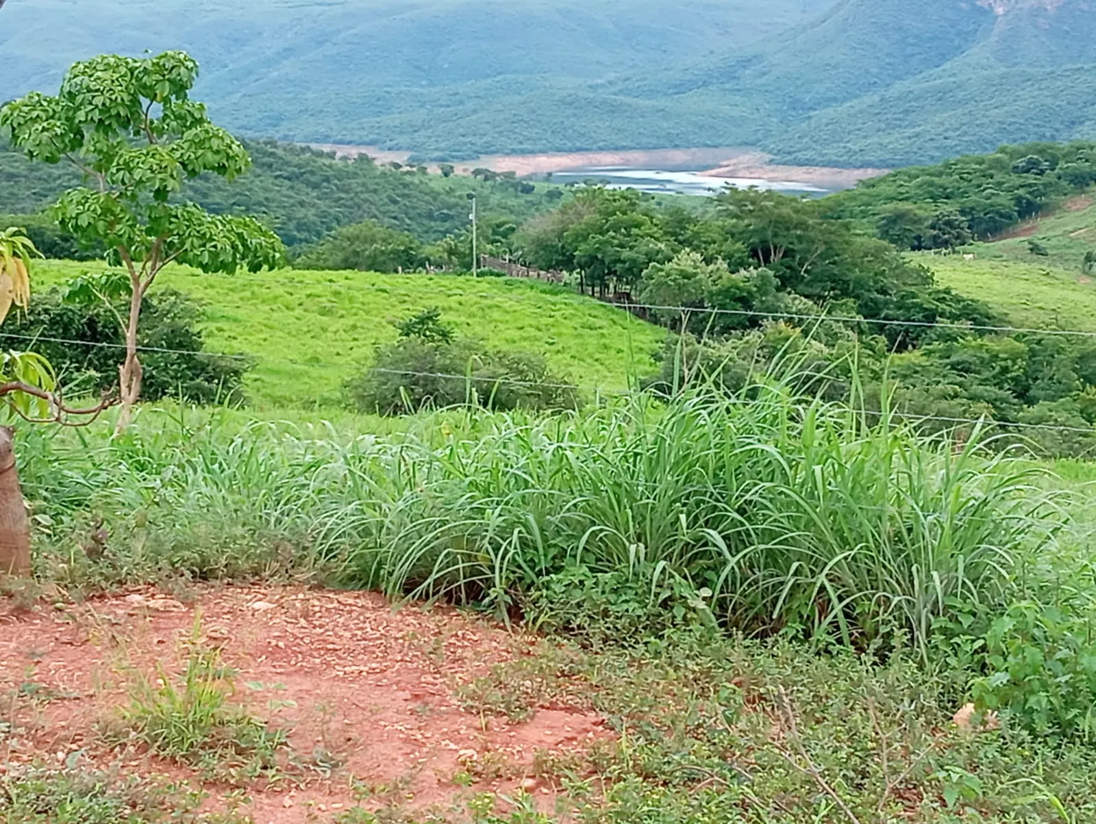 Sítio à venda de 25 ha em Cristália, MG, Brasil