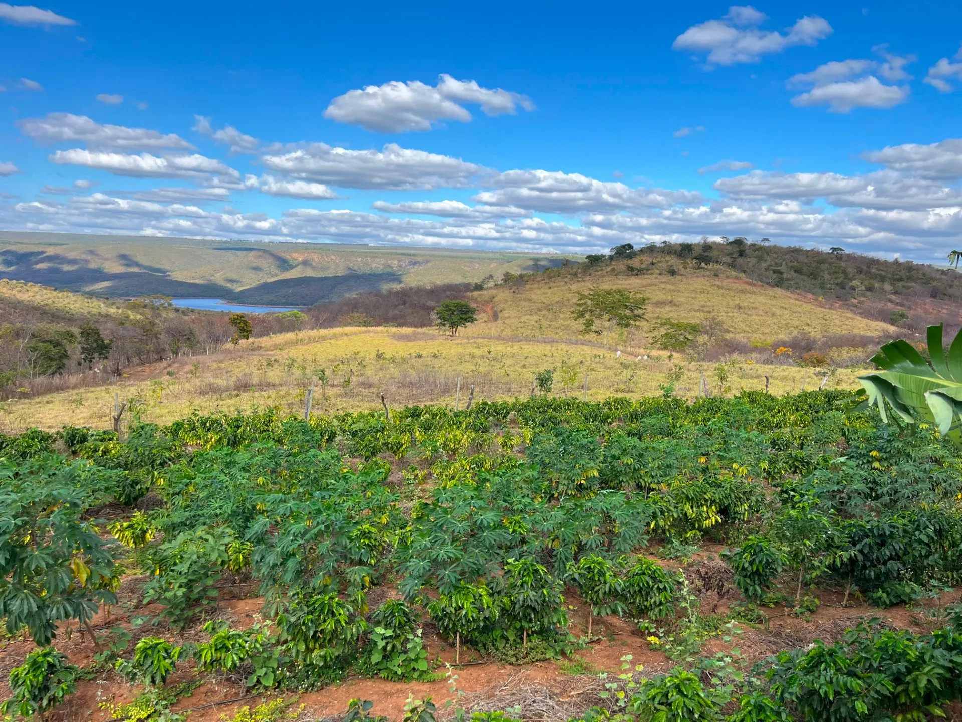 Sítio à venda de 25 ha em Cristália, MG, Brasil