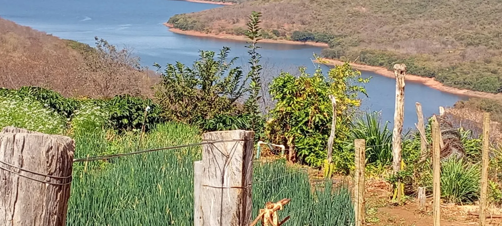 Sítio à venda de 25 ha em Cristália, MG, Brasil