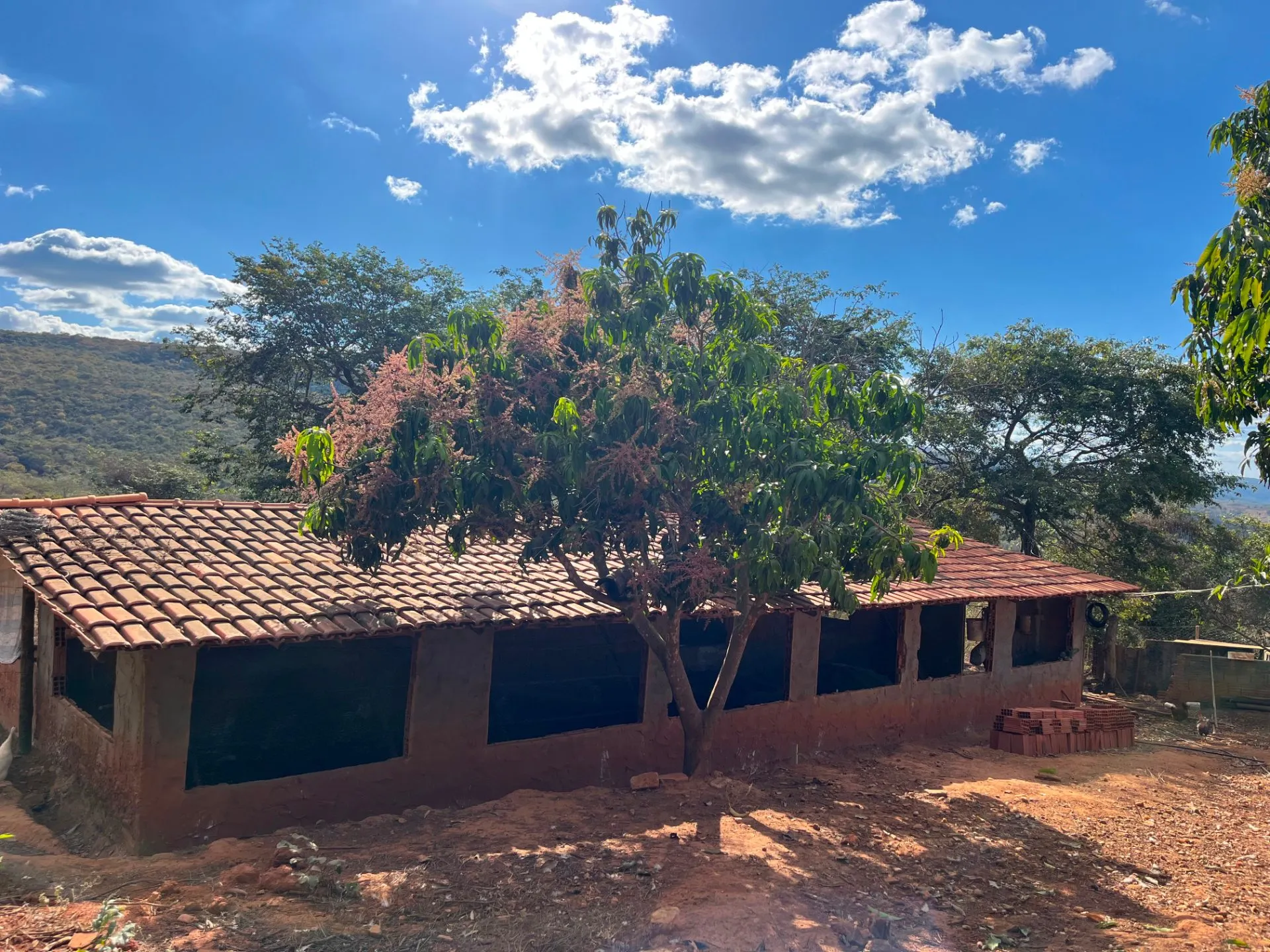 Sítio à venda de 25 ha em Cristália, MG, Brasil