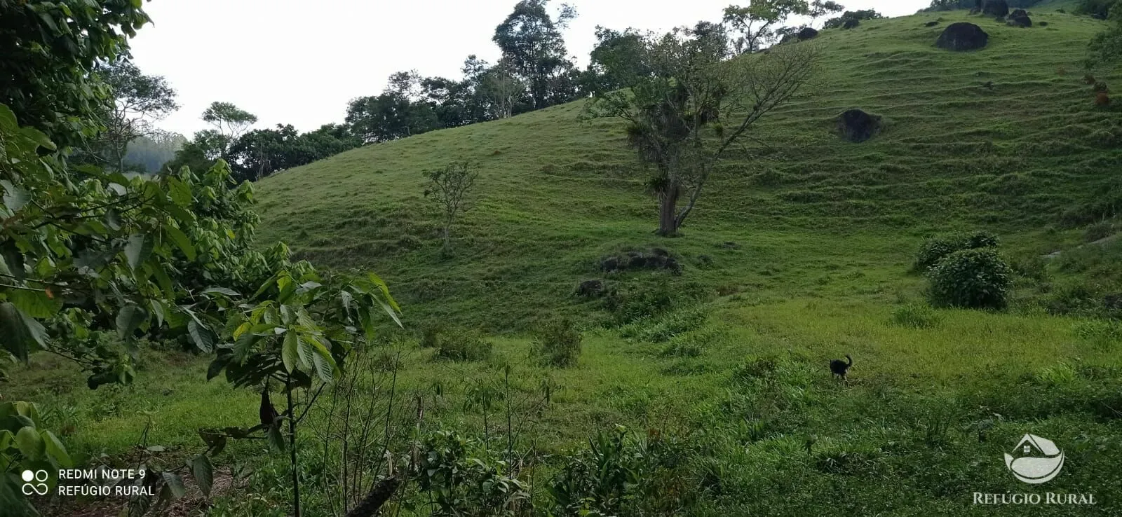 Terreno à venda de 6 ha em São José dos Campos, SP, Brasil