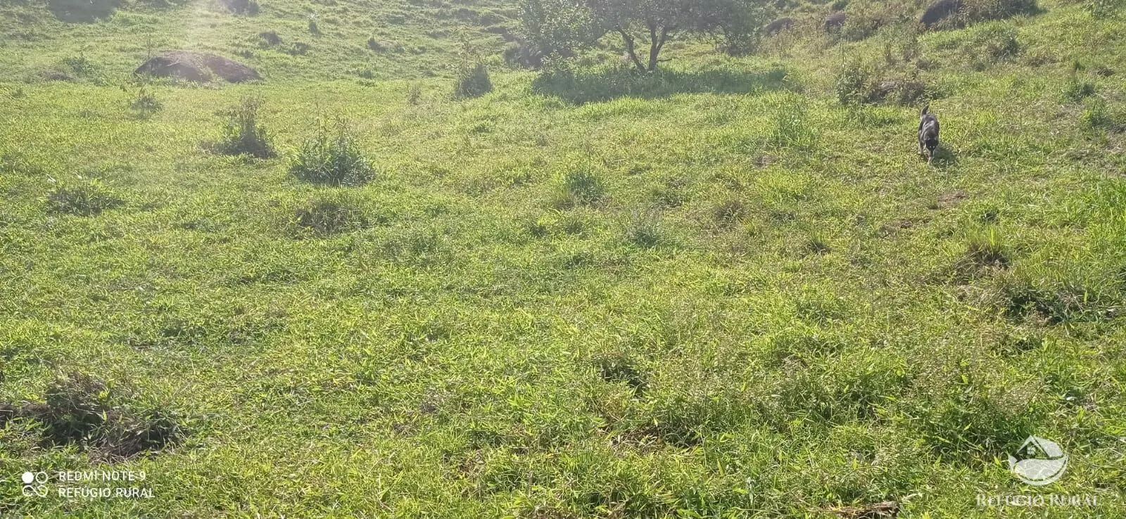 Terreno à venda de 6 ha em São José dos Campos, SP, Brasil