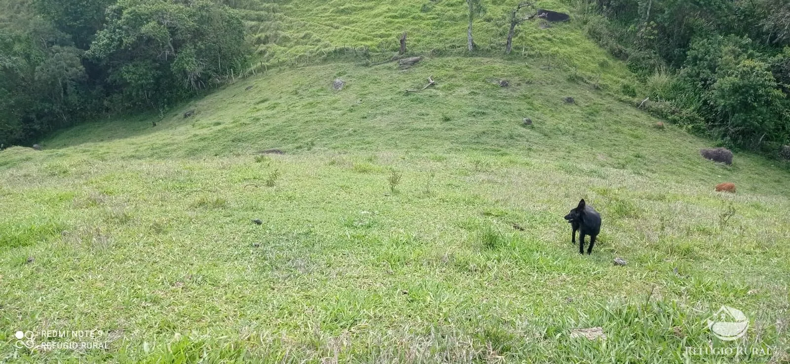 Terreno à venda de 6 ha em São José dos Campos, SP, Brasil