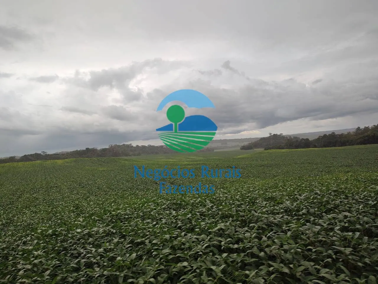 Fazenda à venda de 3.204 ha em Araguaína, TO, Brasil
