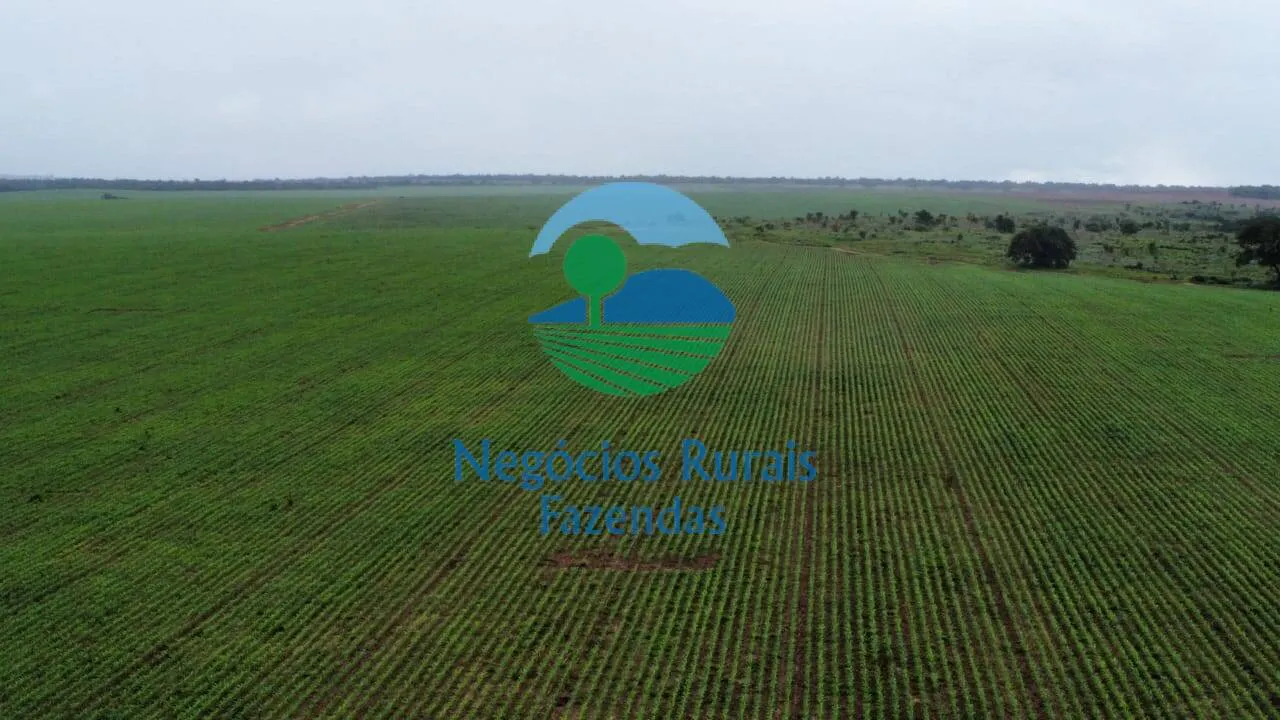 Fazenda à venda de 3.204 ha em Araguaína, TO, Brasil