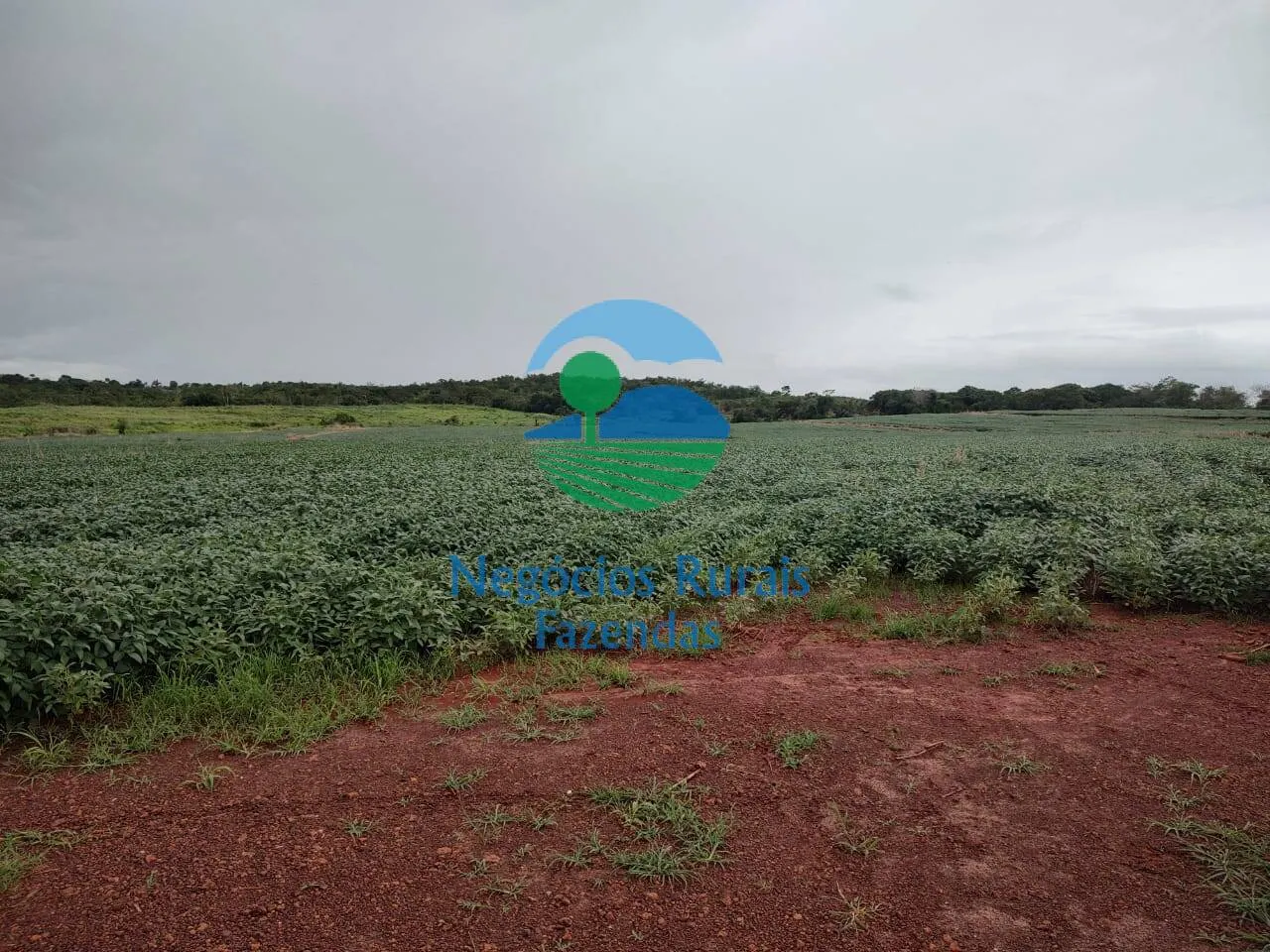 Fazenda à venda de 3.204 ha em Araguaína, TO, Brasil