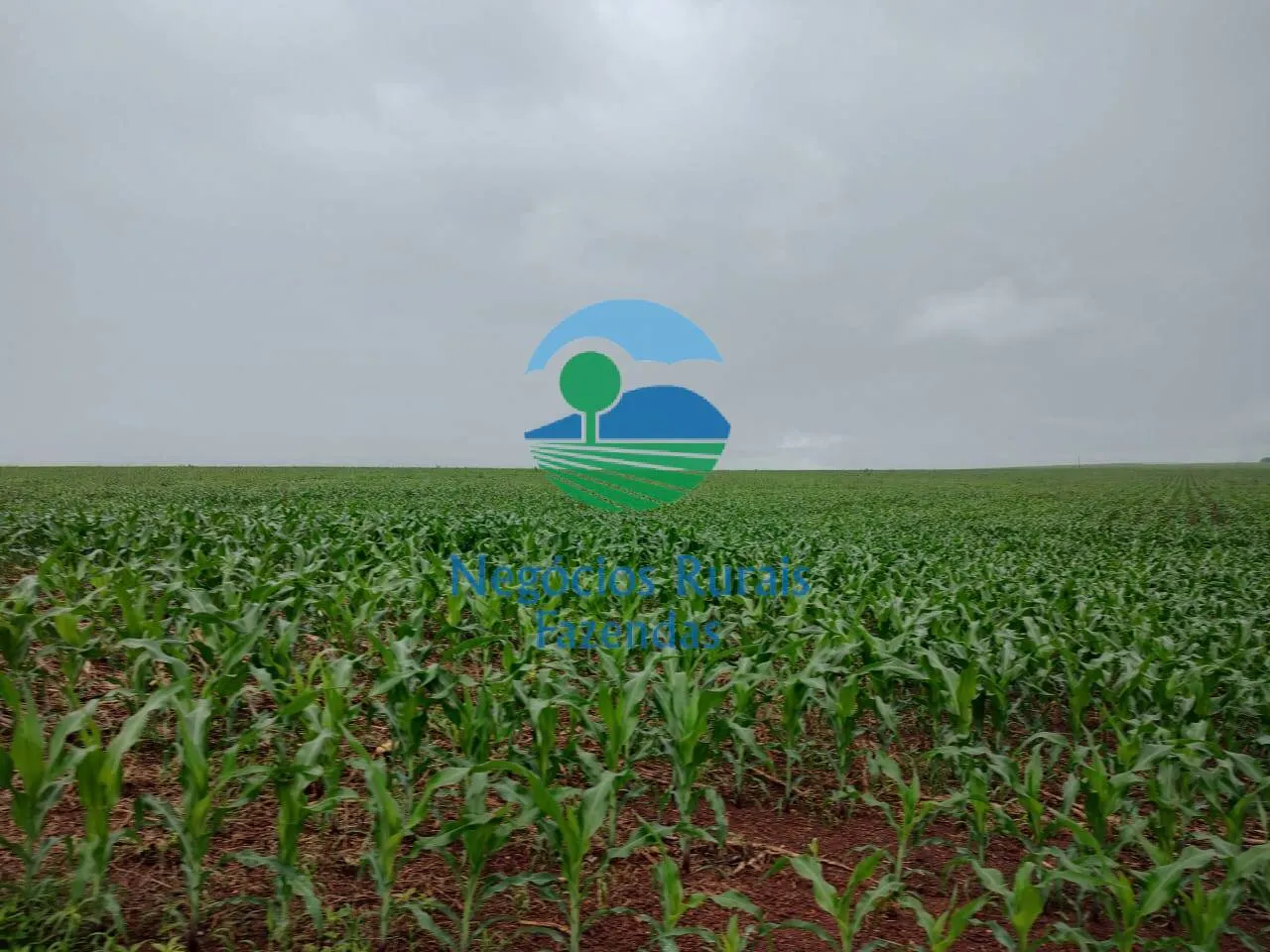Fazenda à venda de 3.204 ha em Araguaína, TO, Brasil
