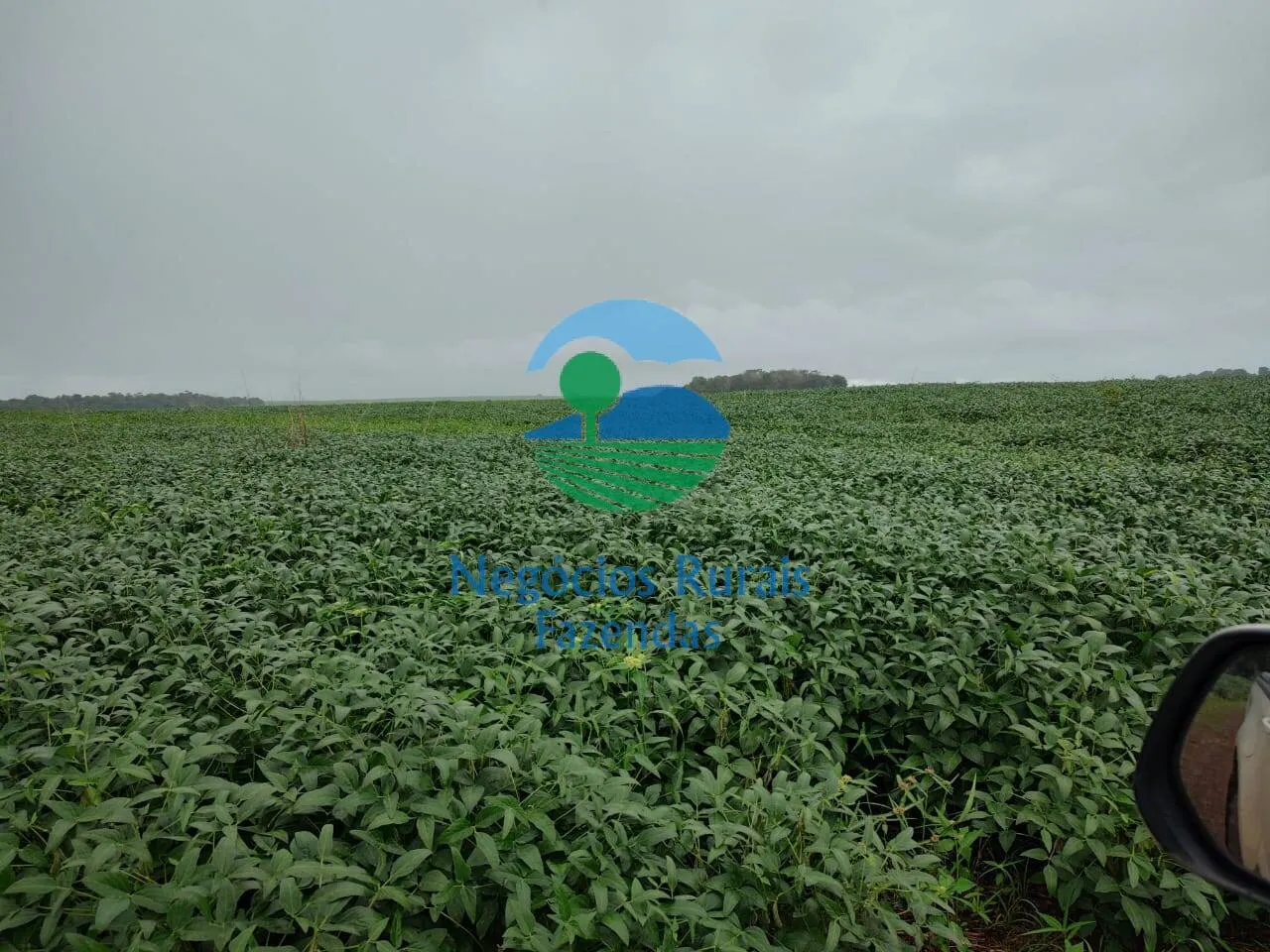 Fazenda à venda de 3.204 ha em Araguaína, TO, Brasil