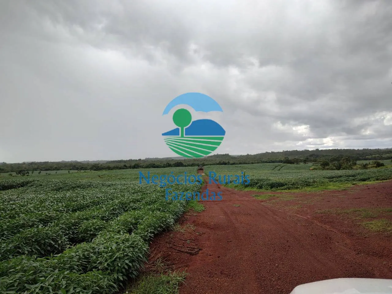 Fazenda à venda de 3.204 ha em Araguaína, TO, Brasil