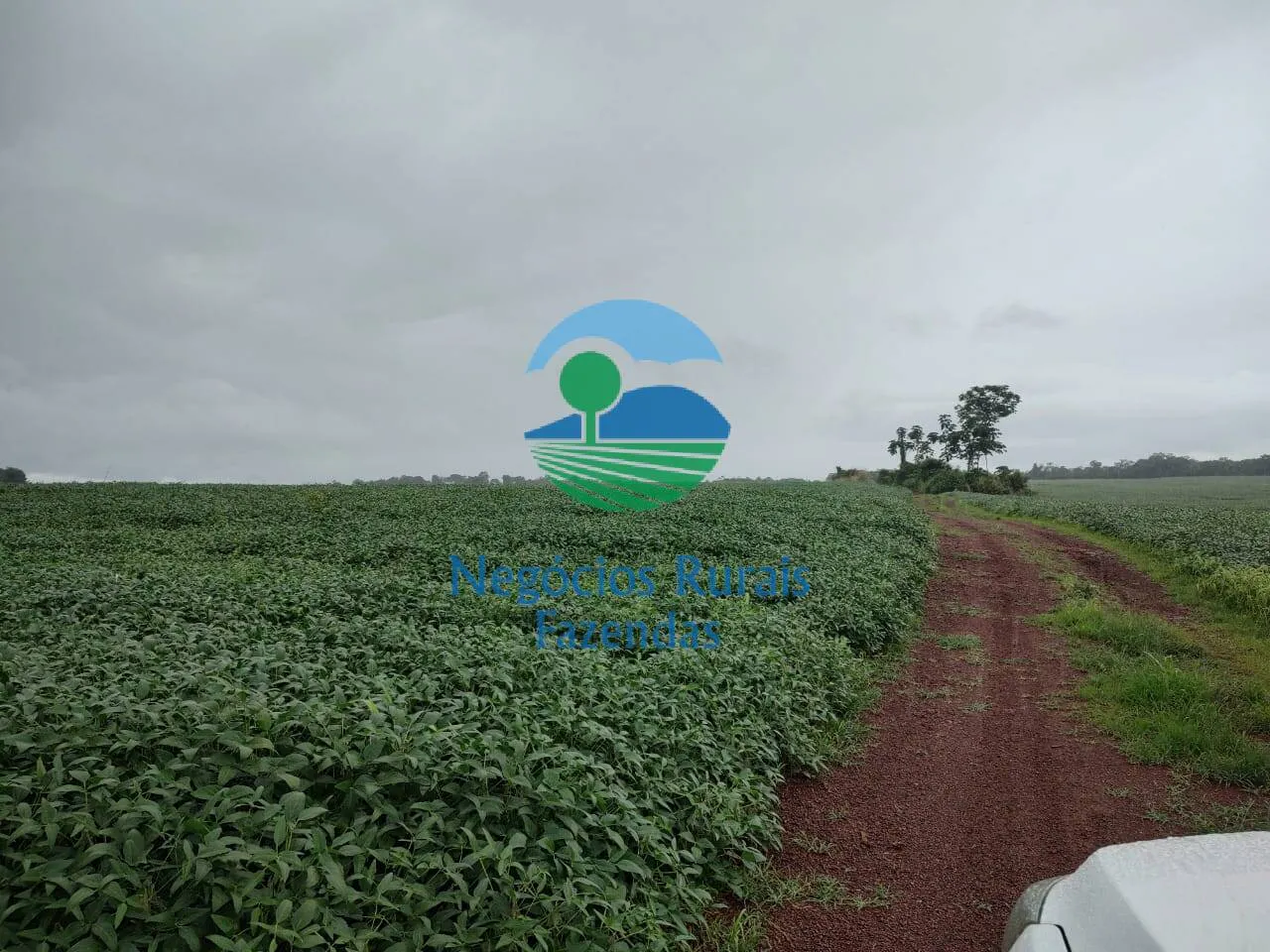 Fazenda à venda de 3.204 ha em Araguaína, TO, Brasil