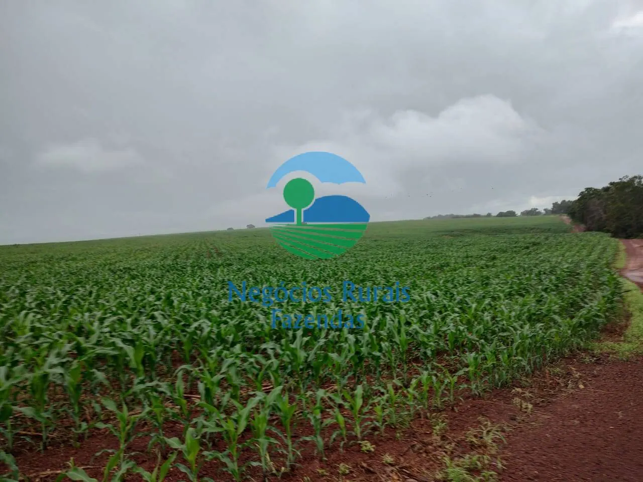 Fazenda à venda de 3.204 ha em Araguaína, TO, Brasil