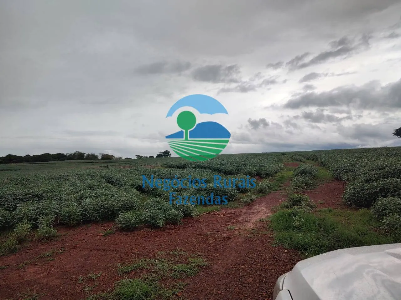 Fazenda à venda de 3.204 ha em Araguaína, TO, Brasil