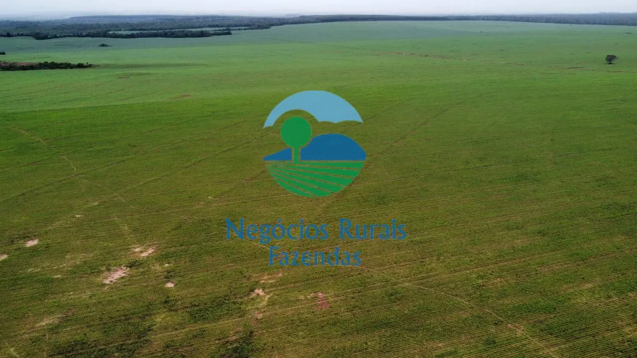 Fazenda à venda de 3.204 ha em Araguaína, TO, Brasil