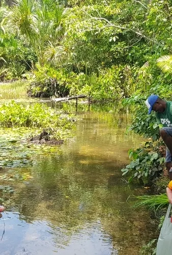 Fazenda à venda de 499 ha em Bacuri, MA, Brasil