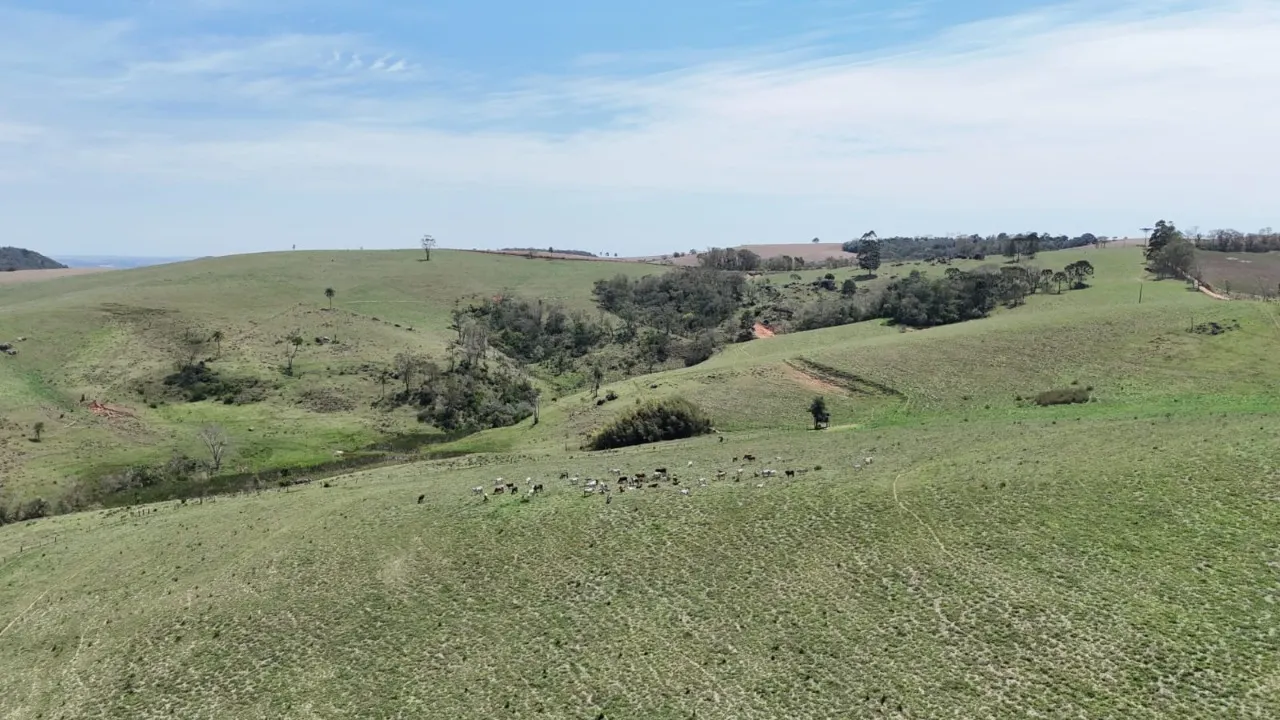 Fazenda à venda de 171 ha em Capão Bonito, SP, Brasil