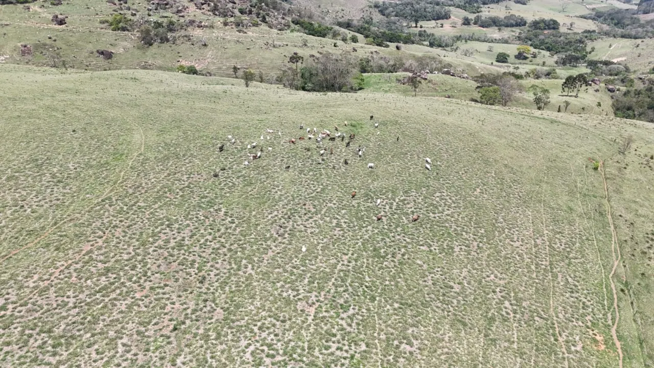 Fazenda à venda de 171 ha em Capão Bonito, SP, Brasil