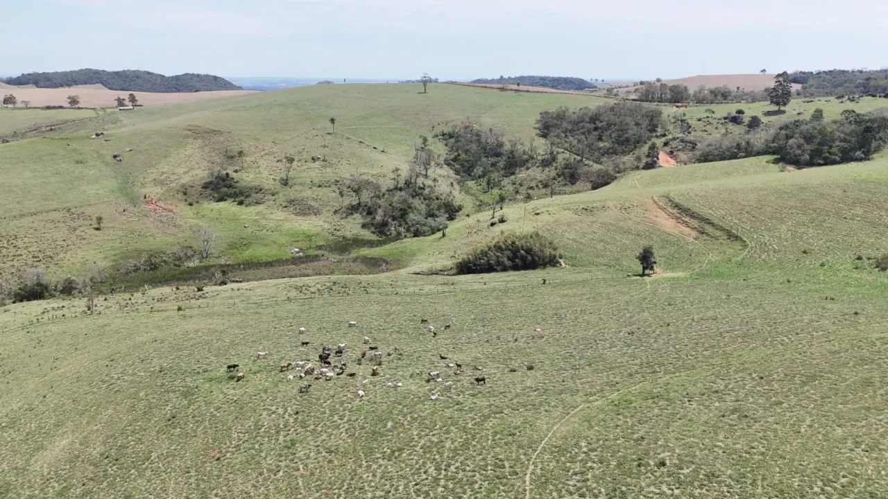 Fazenda à venda de 171 ha em Capão Bonito, SP, Brasil