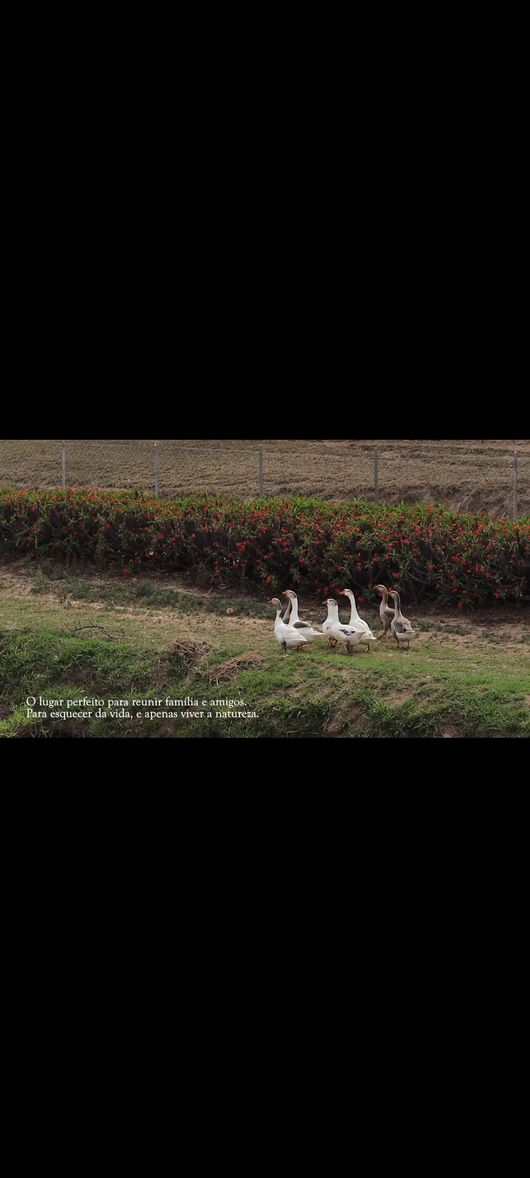 Fazenda à venda de 97 ha em Rafard, SP, Brasil